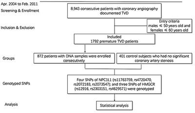 Effect of NPC1L1 and HMGCR Genetic Variants With Premature Triple-Vessel Coronary Disease